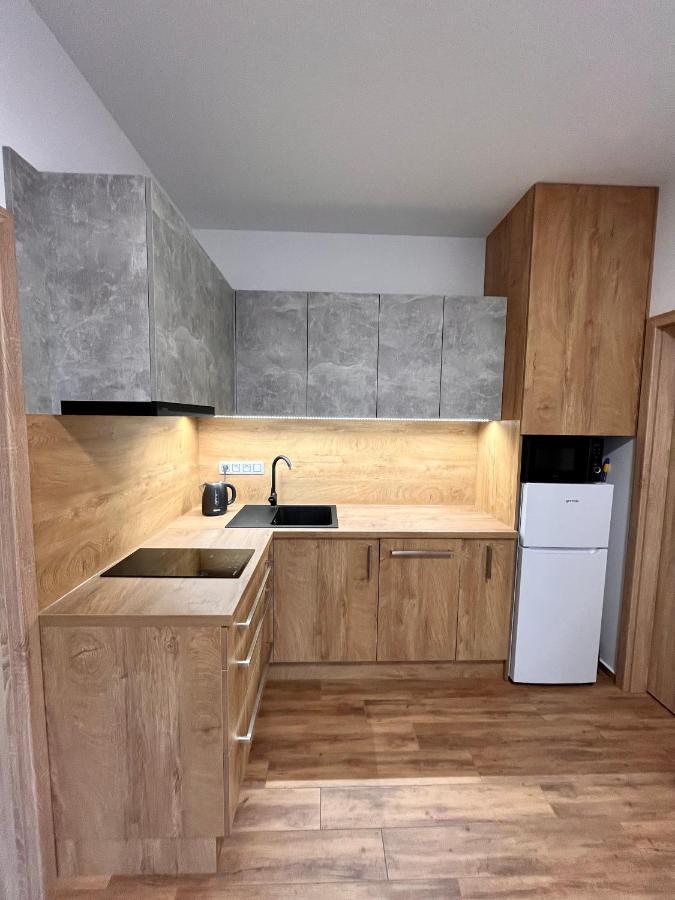 Apartamento U Srubu Moravany  Exterior foto